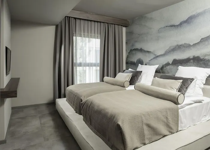 Hotel Paloma Finesse
